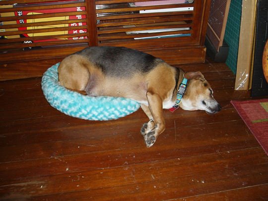 sleeping-compressed