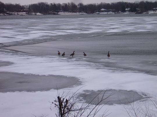 lake-4