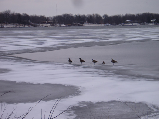 lake-5
