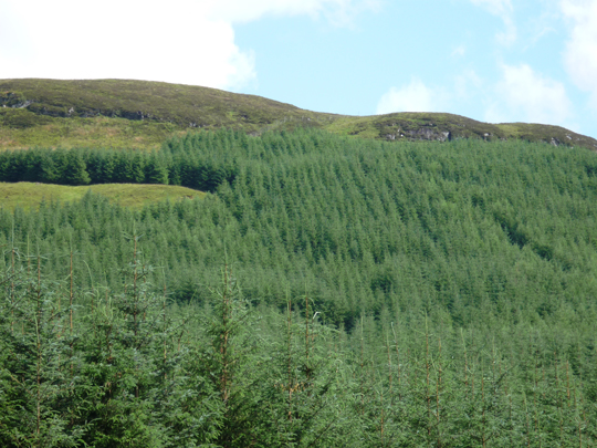 scotland-114