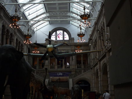 scotland-3