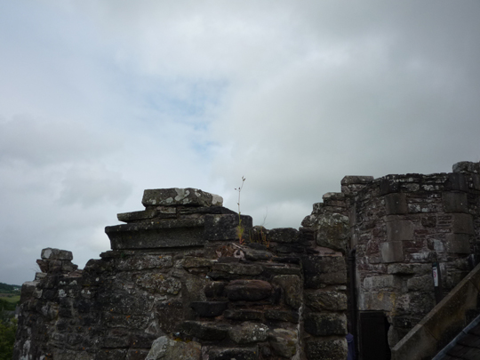 scotland-51