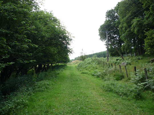 scotland-58