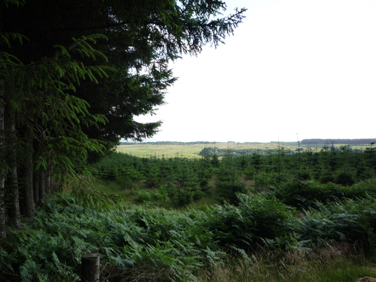 scotland-62