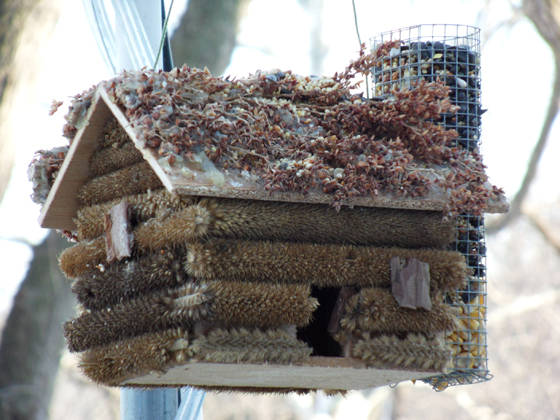 1811