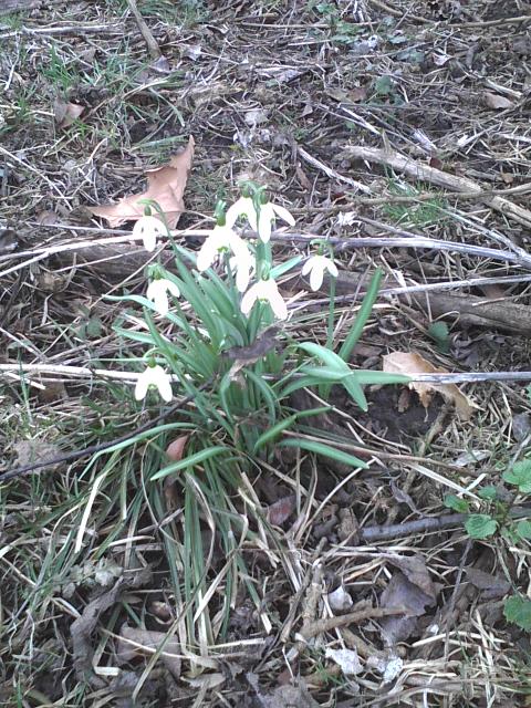spring-2 spring-2
