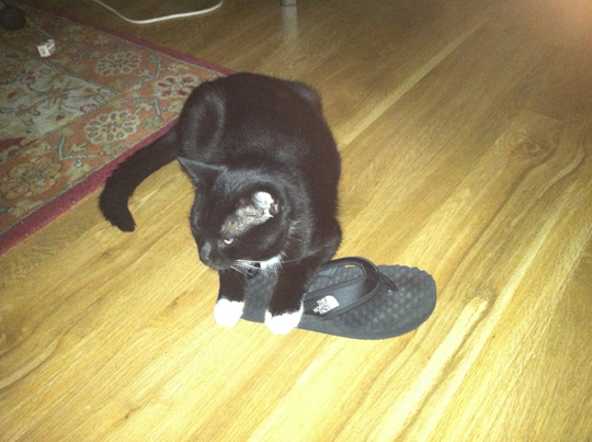 m35