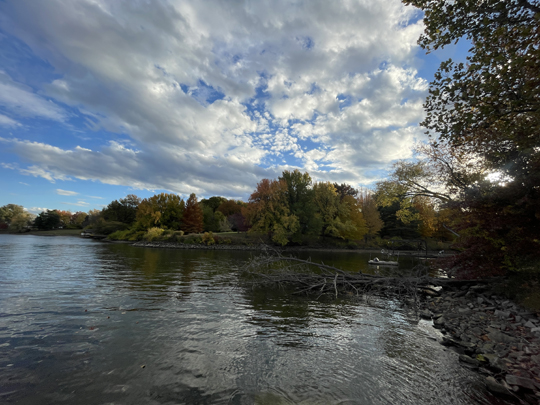 Lovely times in November