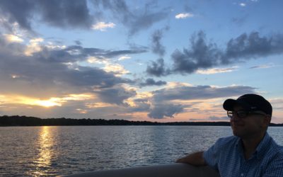 taking down the trees