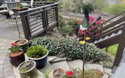 First day of running along the marina in Seattle