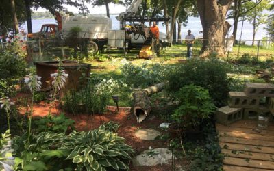 the end of the tree…