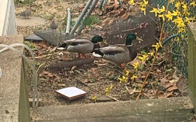 at the start of april…