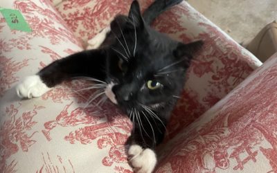 Happy Birthday to Me.