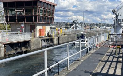 Ballard Locks