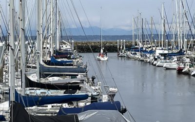 More Seattle excitement