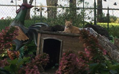 way back in august…