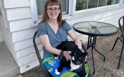 The past three months..