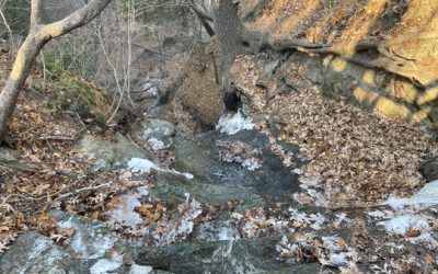 Hiking at Starved Rock