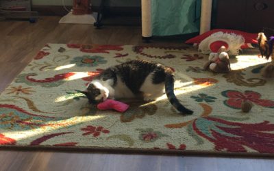 Final posting of Christmas Stuff