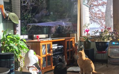 happy…two days after Christmas…