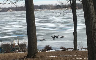 The Last of the Snow…