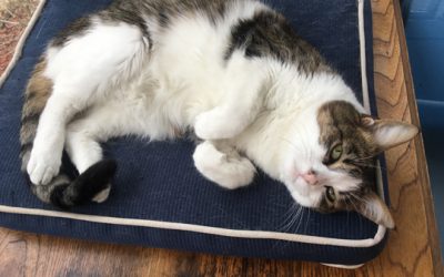 A whole new month…