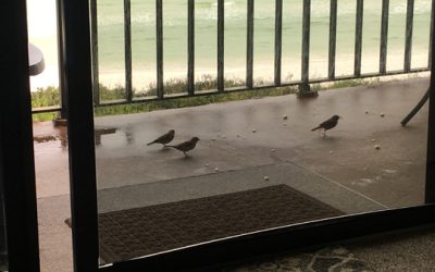 Friday, March 1st in Florida