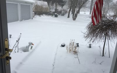 Geese on the frozen lake plus deer in the snow