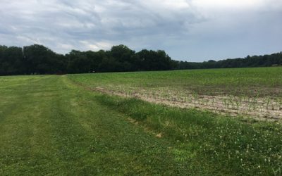 the second monday of july…