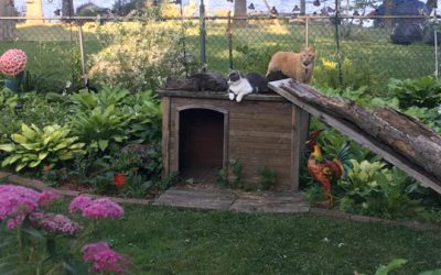 (mostly) outside in june