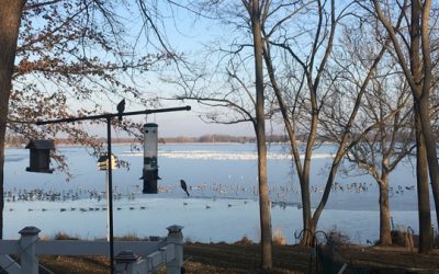 whoops, the really truly final photos from january…