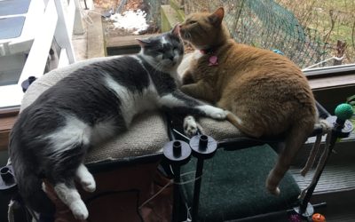 that’s it for January!