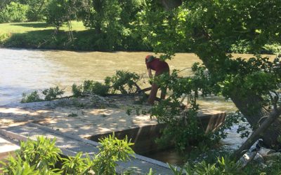 kevin continues to work like a maniac!