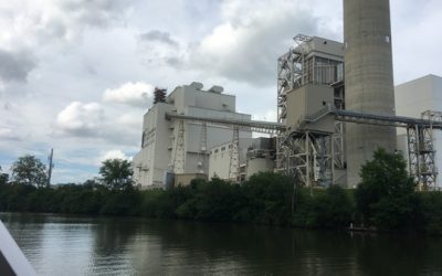 Wrapping up July, mostly with kitties…