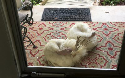 Turkey Escapades, Part Two