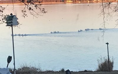 So much has happened in just a week…