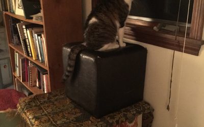 friday!  and suddenly it feels like august…