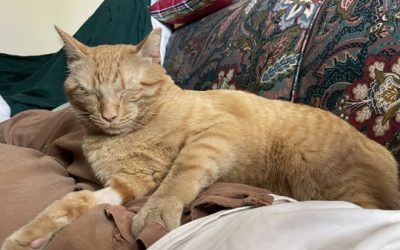 Way back at the beginning of May…