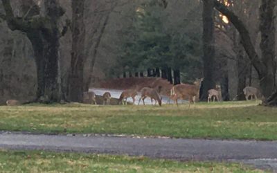 on the first day of may, wrapping up march…