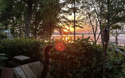 Early birthday morning