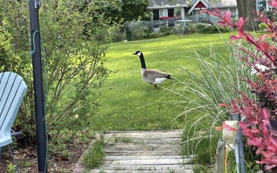 May, quickly slipping away…