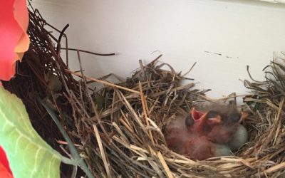 Happy Mother’s Day…