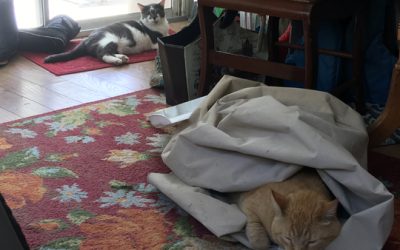 wrapping up may, finally