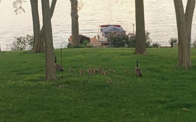 mostly Riley, way back in may…