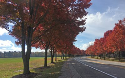 at the start of november…