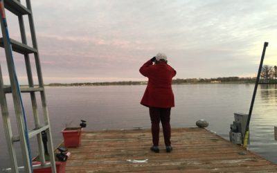 Excitement in November…