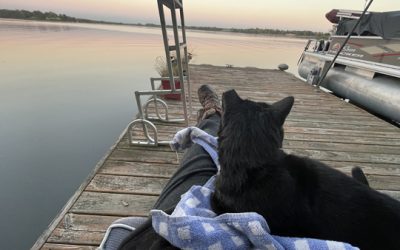 Way back in November..