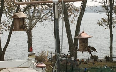 wrapping up November…