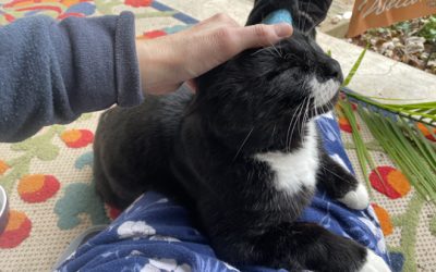 November, before we were blanketed in snow