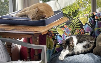 So much rain this Sunday